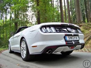 6-Ford Mustang GT Coupe / Cabrio V8