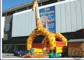 HÜPFBURG GIRAFFE