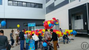 3-Luftballonweitflug inkl. Betreuungspersonal, Haftpflichtversicherung, Ballongas, Ballons+Weitflugkar