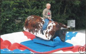 2-American Bullriding - Lieferung Deutschlandweit,inkl Betreuung!