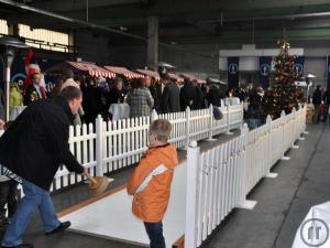 1-Fun Curling / Eisstockbahn / Curlingbahn für indoor und outdoor