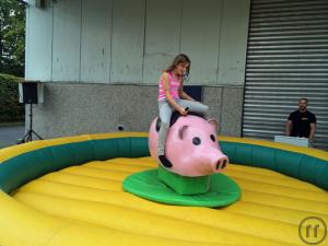 2-Rodeo Schwein inkl. Betreuung und Haftpflichtversicherung / Bullriding / Pig Riding / Bulle reiten