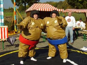 2-Sumo Wrestling