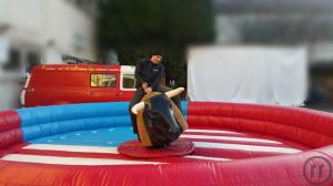 Bullriding - American Rodeo