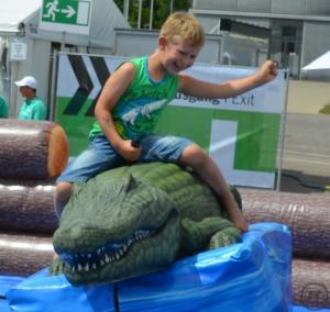 1-Alligator Rodeo wie Bullriding inkl. 19% MwSt.