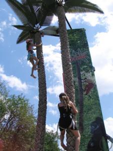 COCONUT CLIMBING / PALMENKLETTERN