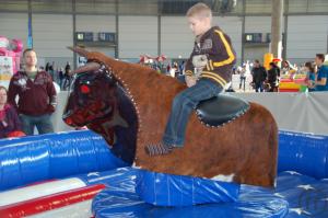 4-Rodeo Bull Riding