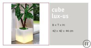 Cube lux- us