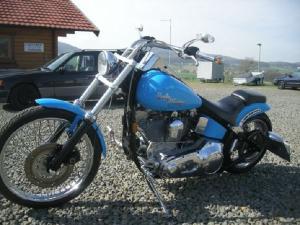 1-Harley Davidson