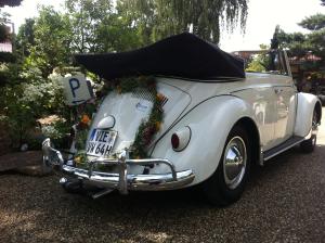 3-Hochzeitswagen Brautauto Volkswagen VW Käfer Cabrio Kabrio