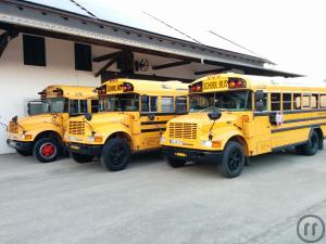3-US Schoolbus Partybus für bis zu 15 Gäste