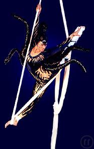 5-Luftartisten - Die Spinnenfraue - Arabesque - Akrobatik - Show Tanz