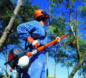 1-Astsäge 30 cm Schwertlänge, bis 5 m Arbeitshöhe, Benzingemisch