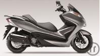 1-Forza 125 (2017) - Honda - Motorroller