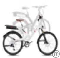 1-E-Bike - Perfekt für Tagesausflüge