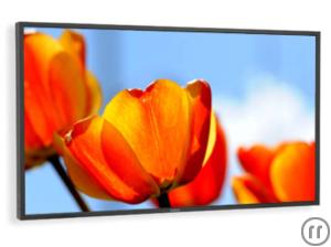 1-52" FullHD Display