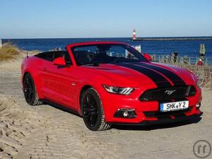 4-Ford Mustang GT Coupe / Cabrio V8