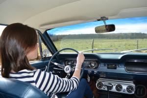 3-Ford Mustang V8 1965