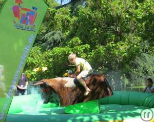 Rodeo Bullriding Sonderangebot ...nur für kurze Zeit diese Profi Anlage!