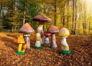 Riesenpilz Pilze Herbst Dekoration