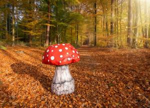 3-Riesenpilz Pilze Herbst Dekoration