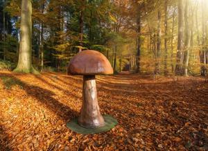 5-Riesenpilz Pilze Herbst Dekoration