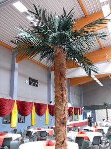 3-Palmen 1,5m- 4m, Karibik Dekoration