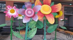 3-Riesenblume XXL Sommerblume Blume