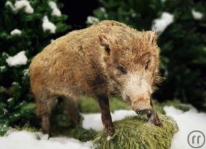 2-Tierpräparate Fuchs, Dachs,Reh Wildschwein