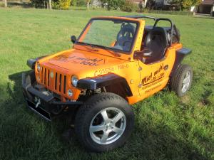 2-Buggy Orange