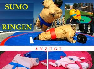 3-Gladiator Game & Sumo Ringen im Paket - Kindergeburtstag - Sumo Wrestling - Gladiatoren Sumo ...