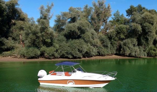 selber Motorboot fahren auf dem Rhein