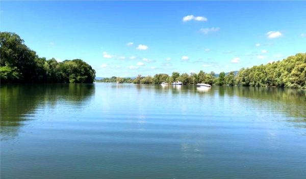 4-selber Sportboot fahren auf dem Rhein