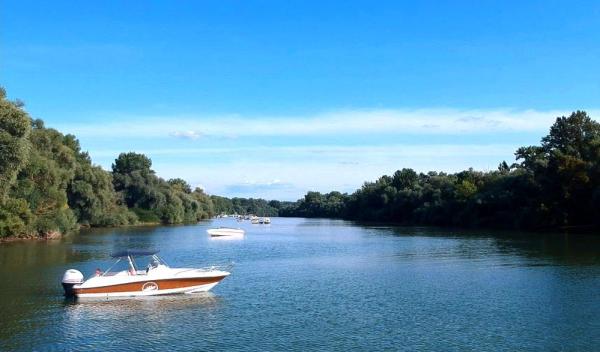 3-geführter Bootsausflug auf dem Rhein