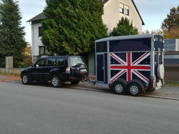 2-Ifor William 1,5er Pferdeanhänger Union Jack mit Frontausstieg Kamera Einstreu Shetty-Stange