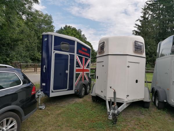 3-Ifor William 1,5er Pferdeanhänger Union Jack mit Frontausstieg Kamera Einstreu Shetty-Stange