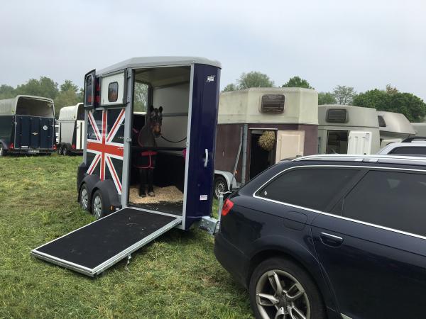 4-Ifor William 1,5er Pferdeanhänger Union Jack mit Frontausstieg Kamera Einstreu Shetty-Stange