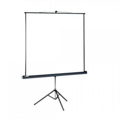 Stativleinwand 1,76m x 1,32m