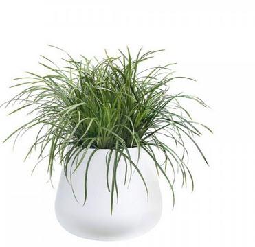 2-Vase Blumentopf Pure Cone 45
