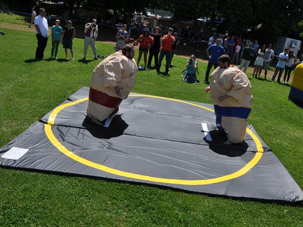 3-Sumo Wrestling / Sumo Ringen / Sumo Fatsuit