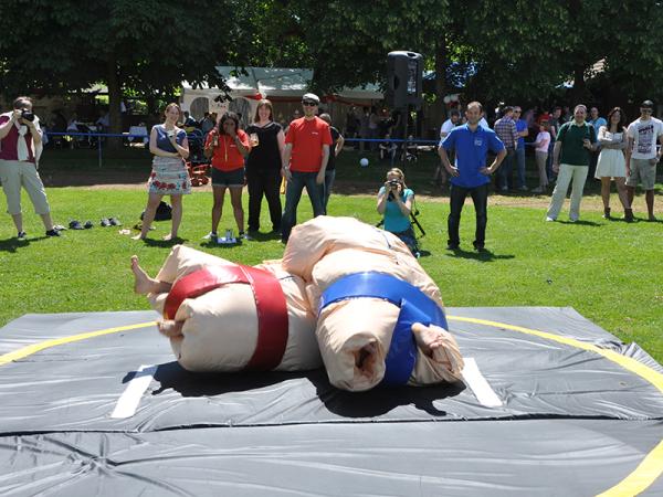 4-Sumo Wrestling / Sumo Ringen / Sumo Fatsuit