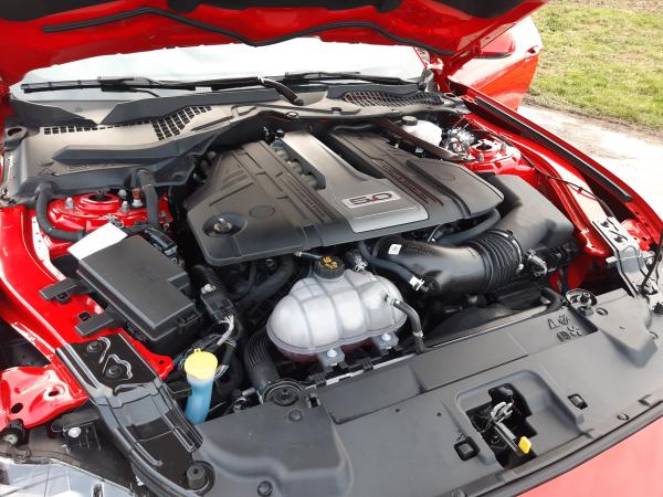 5-Ford Mustang GT Cabrio zu vermieten! Rent the American Dream!