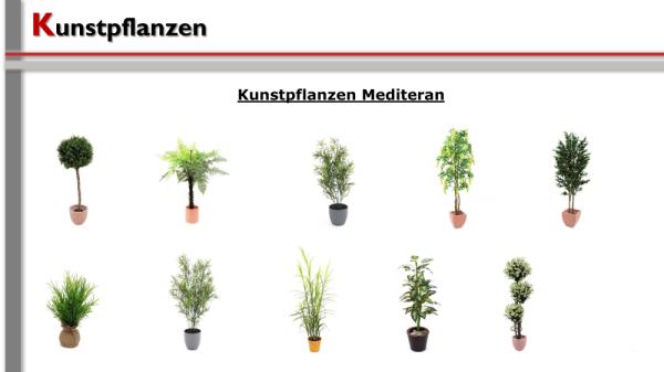 2-Pflanzen, Kunstpflanzen verschiedene Arten u. Größen