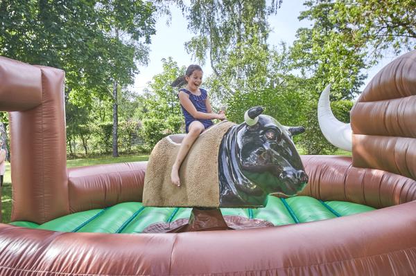 1-Bullriding, Bullenreiten mieten, Rodeo