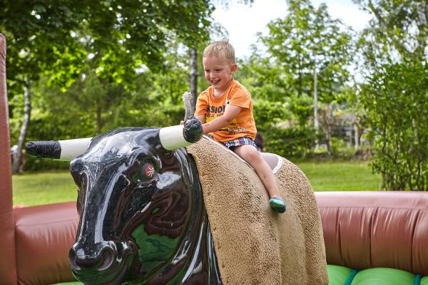 3-Bullriding, Bullenreiten mieten, Rodeo