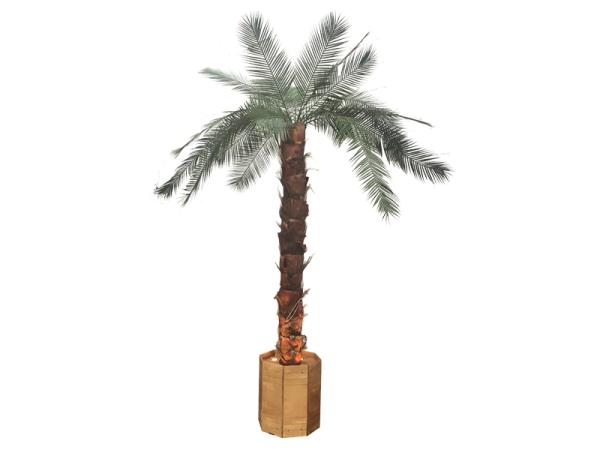 1-Palmen groß mit Beleuchtung, ca 3,50 m,