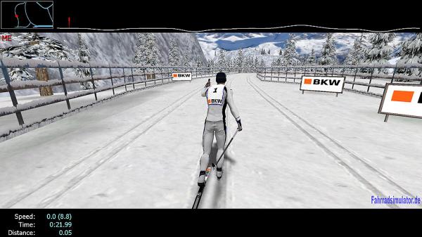 2-Ski-Langlaufsimulator - Einzel