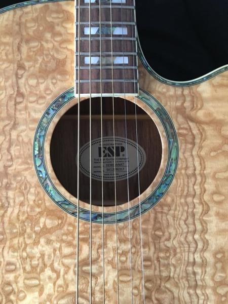 4-Acoustic-Gitarre LTD EW-QA