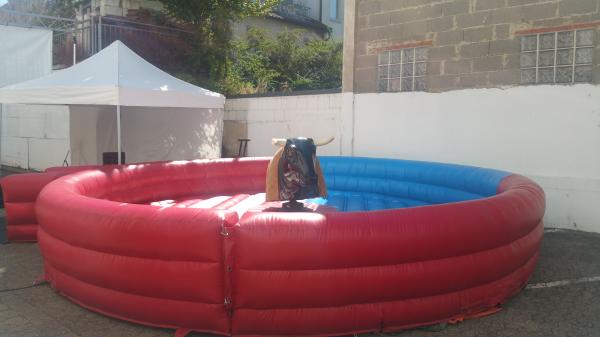 Bullriding - American Rodeo