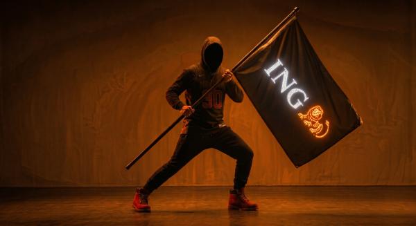 LED Flagge